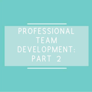 professional team development: part 2